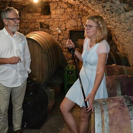 Rodinne Vinarstvi Mikulenkovi Velke Zernoseky Exterior foto